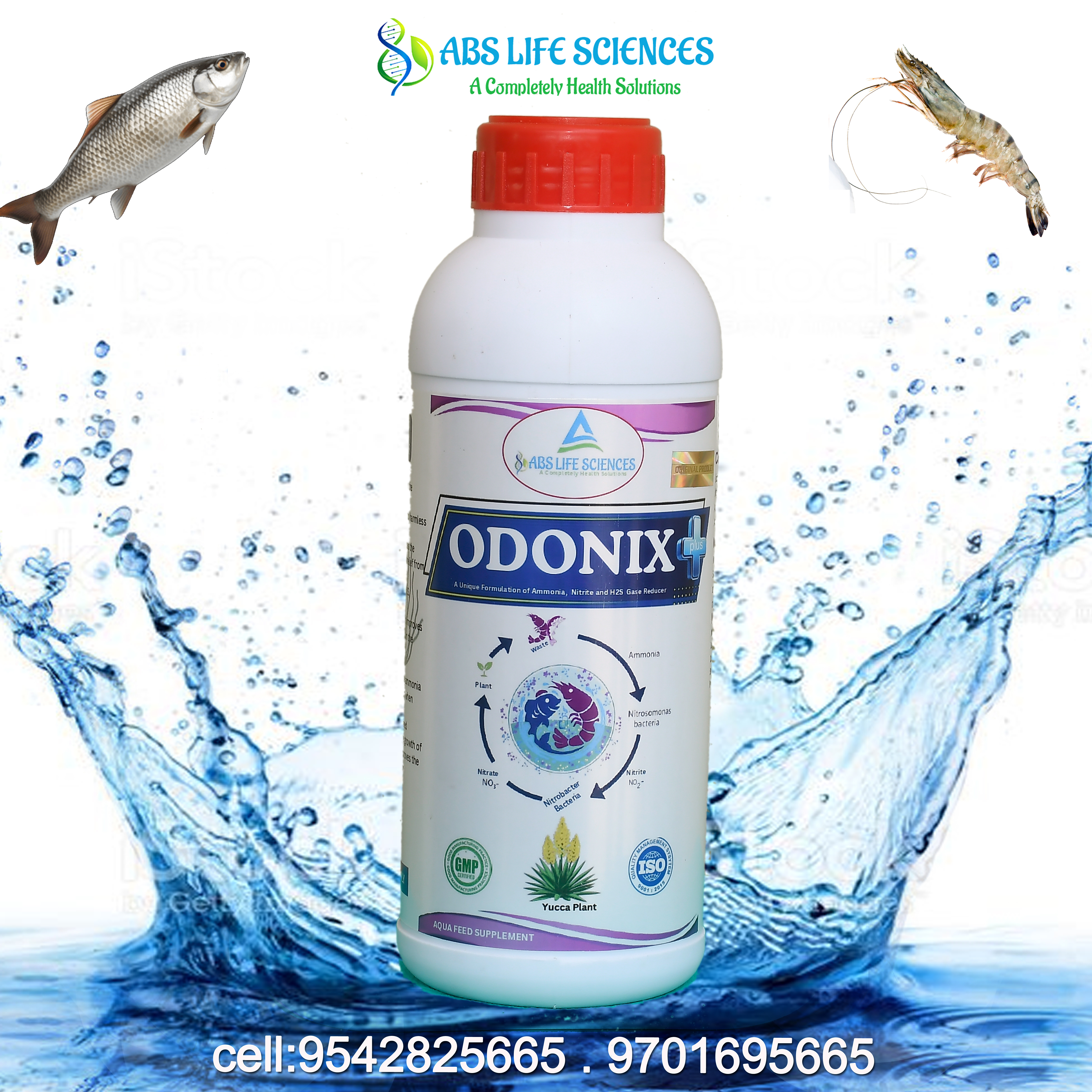 Odonix 1ltr Image 1